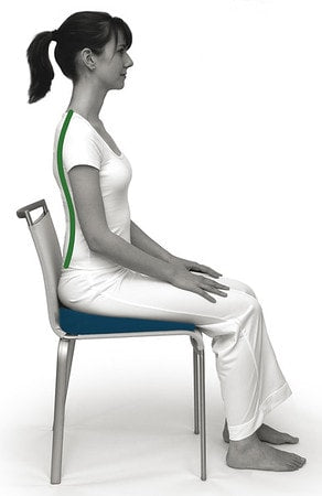 Almofada Coxim Sissel 2 em 1 Ergonómico